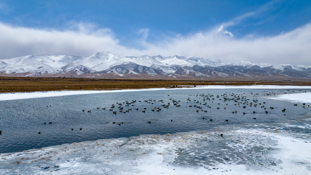 冰雪消融 迎“開(kāi)湖”