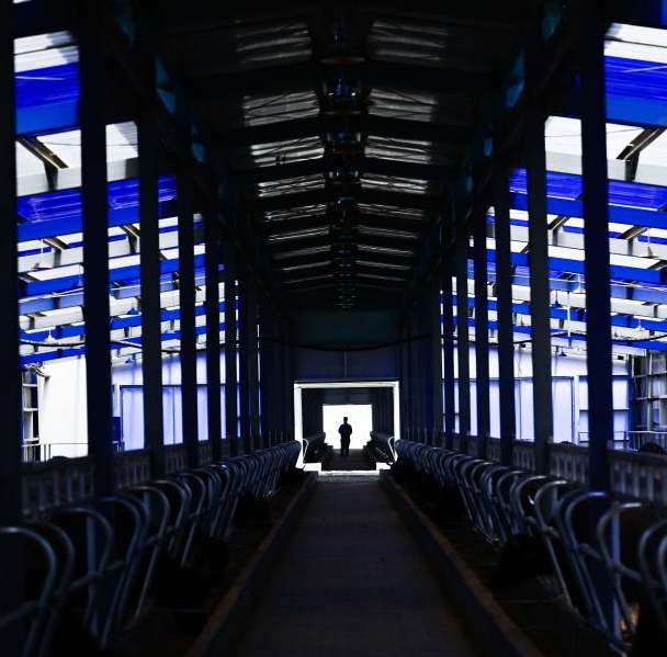 青海玉樹(shù)：智慧牧場(chǎng)繪就“生態(tài)富民”新畫(huà)卷