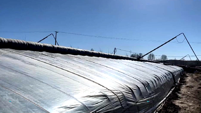 新鮮！青藏高原長出&ldquo;熱帶水果&rdquo;