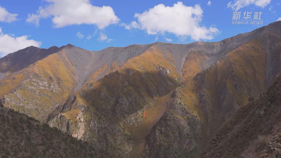 4362張照片！他們在這里堅(jiān)持10年開展雪豹種群動(dòng)態(tài)研究